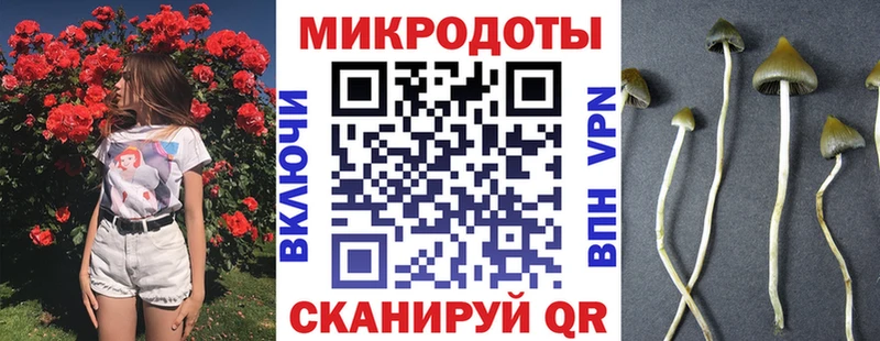 Галлюциногенные грибы GOLDEN TEACHER  omg tor  Поронайск 